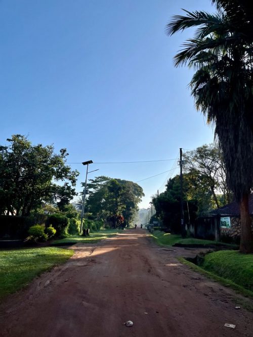 Wandering the beautiful leafy streets of Entebbe 