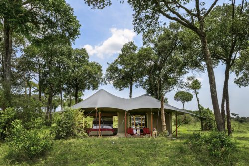 Angama Safari Camp first pitched up in the Mara Triangle in 2020