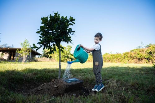 Watering the memorial tree for his Grandpa Steve Fitzgerald