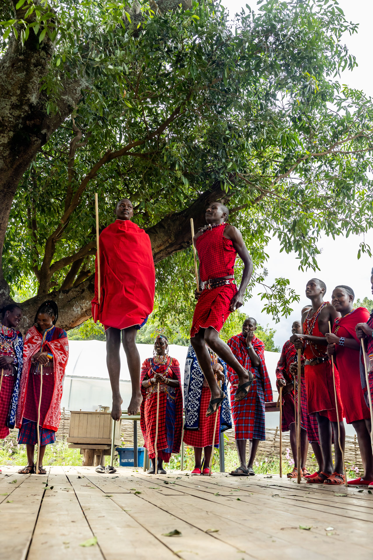 Maasai warriors prepare for a special blessing ceremony
