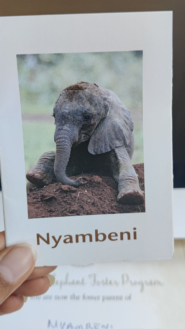 Meet Nyambeni, the newest member of the Angama Family