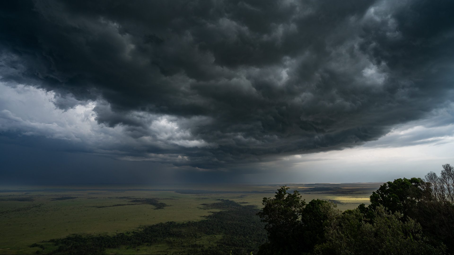 Above: Much to our delight, life-giving rains have fallen in the Mara
