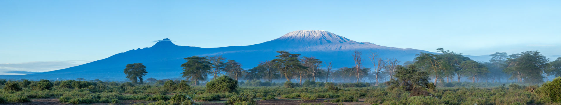 Early mornings are made much easier thanks to this view of Kili in all her glory