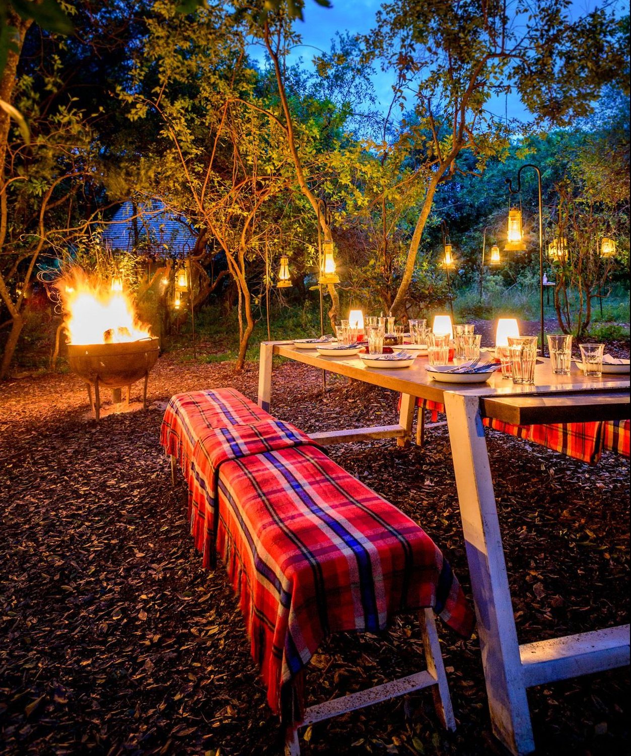 A hearty red wine pairs perfectly with a lantern-lit evening in the forest  