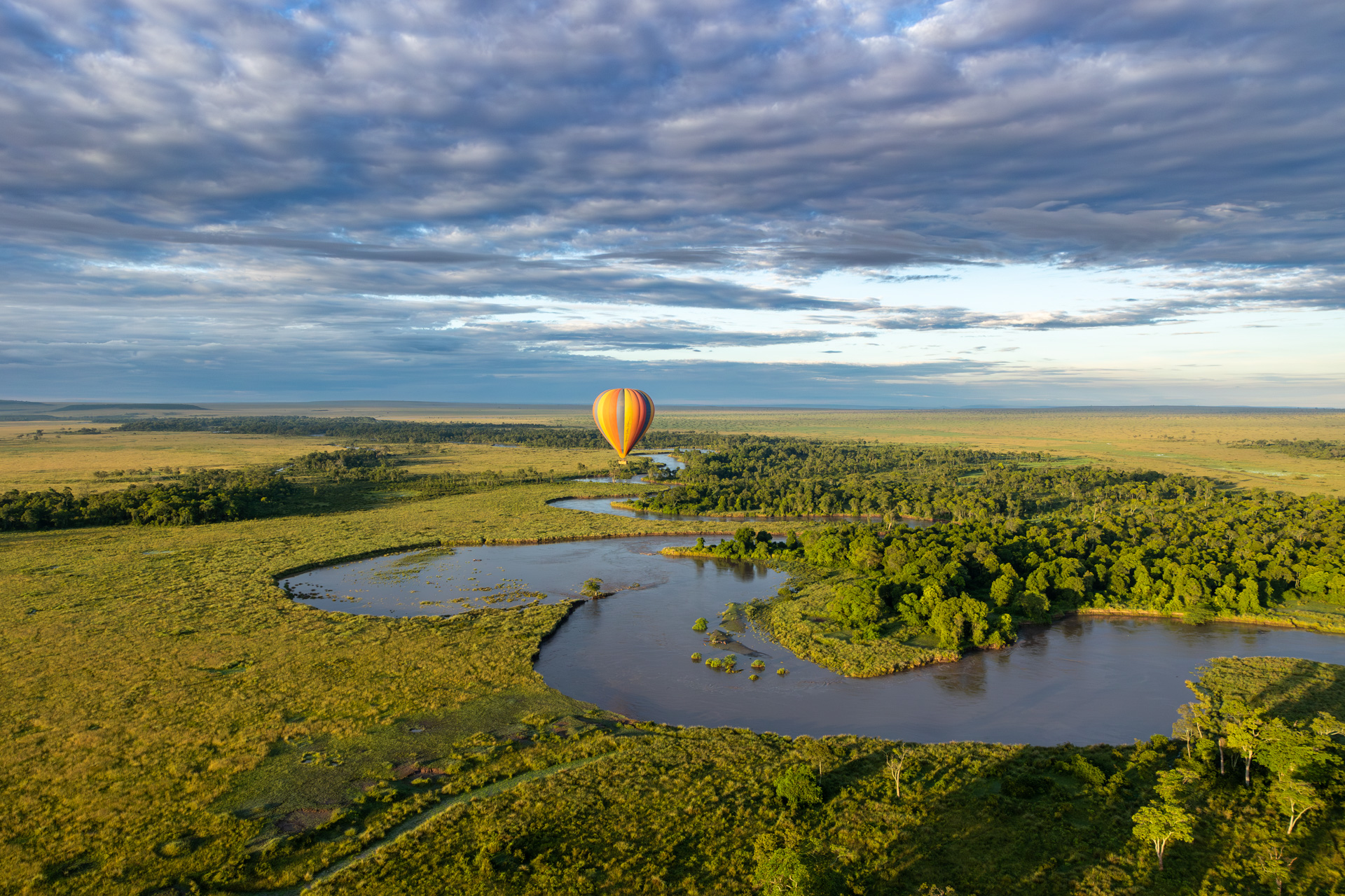 Above: The Mara River is fit to burst and the best way to see it is from the sky