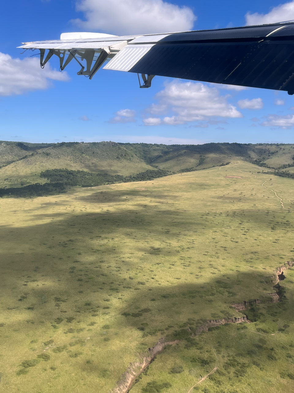 You can spot many animals from above and maybe even Angama Mara