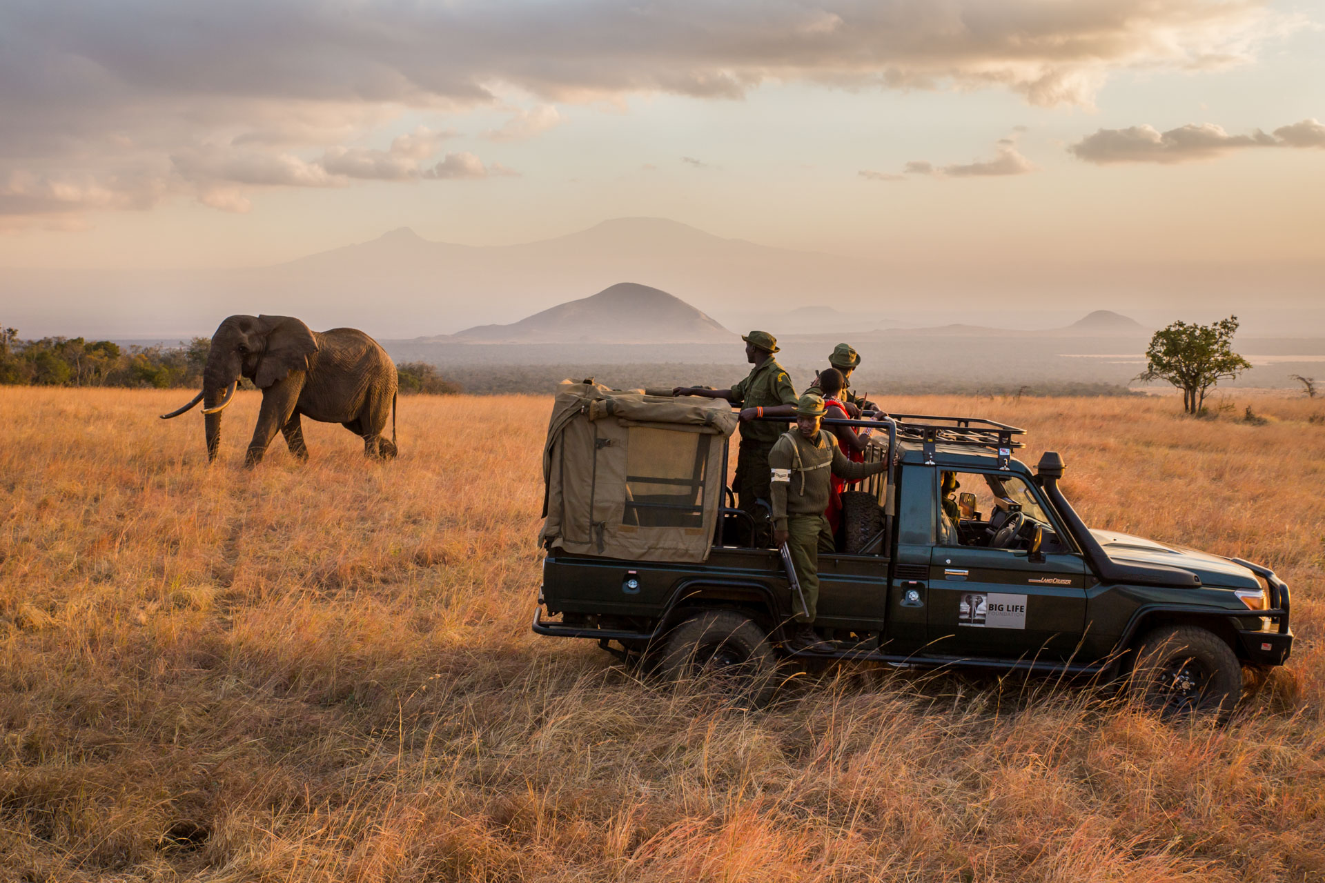 Above: Big Life rangers monitor an elephant in Amboseli