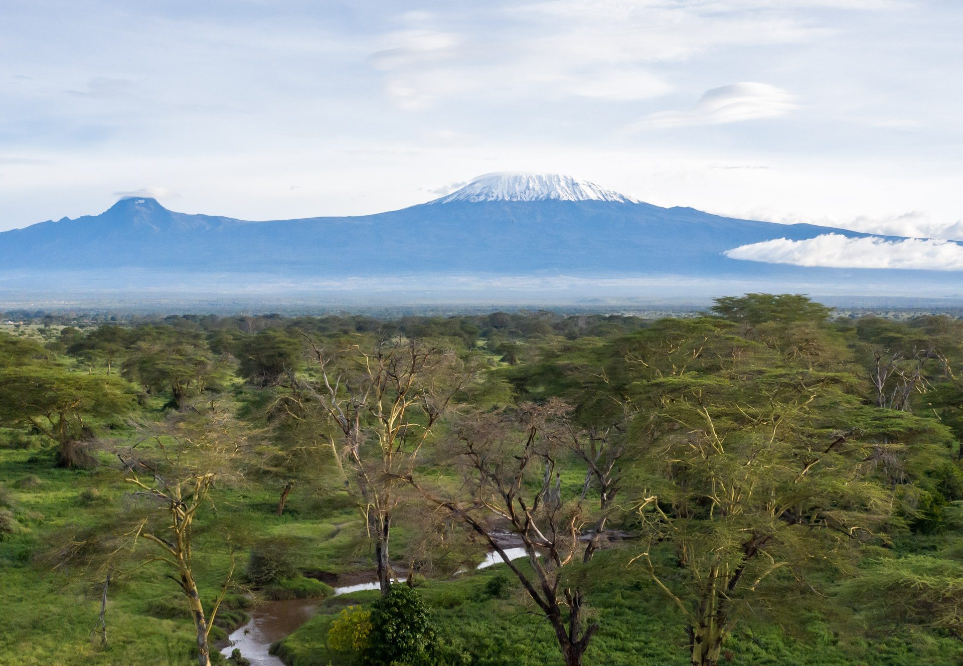 Mount Kilimanjaro keeping watch over Kimana Sanctuary