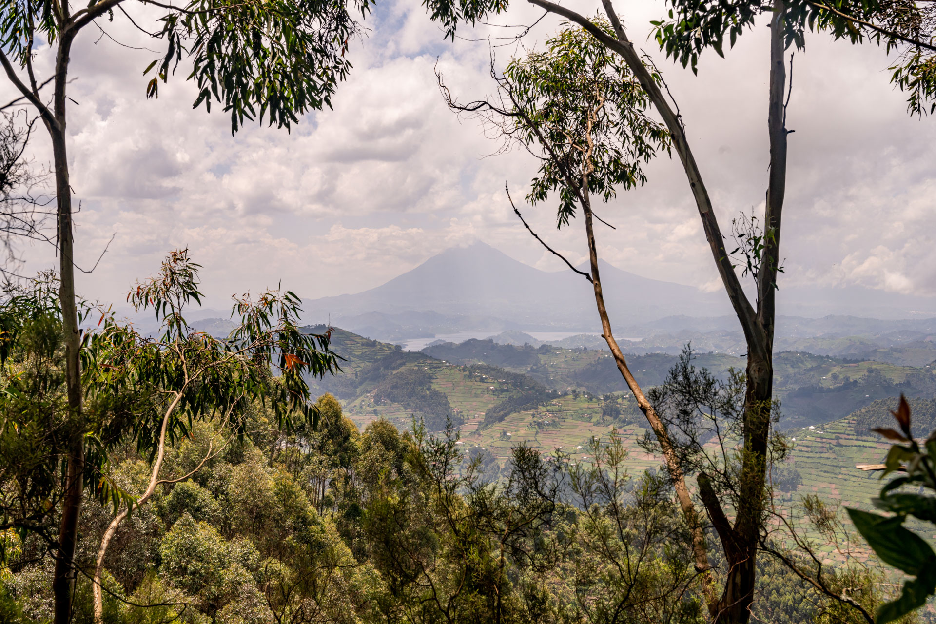 The incredible view from Bwindi, with Lake Mutanda and Virunga volcanoes in the distance