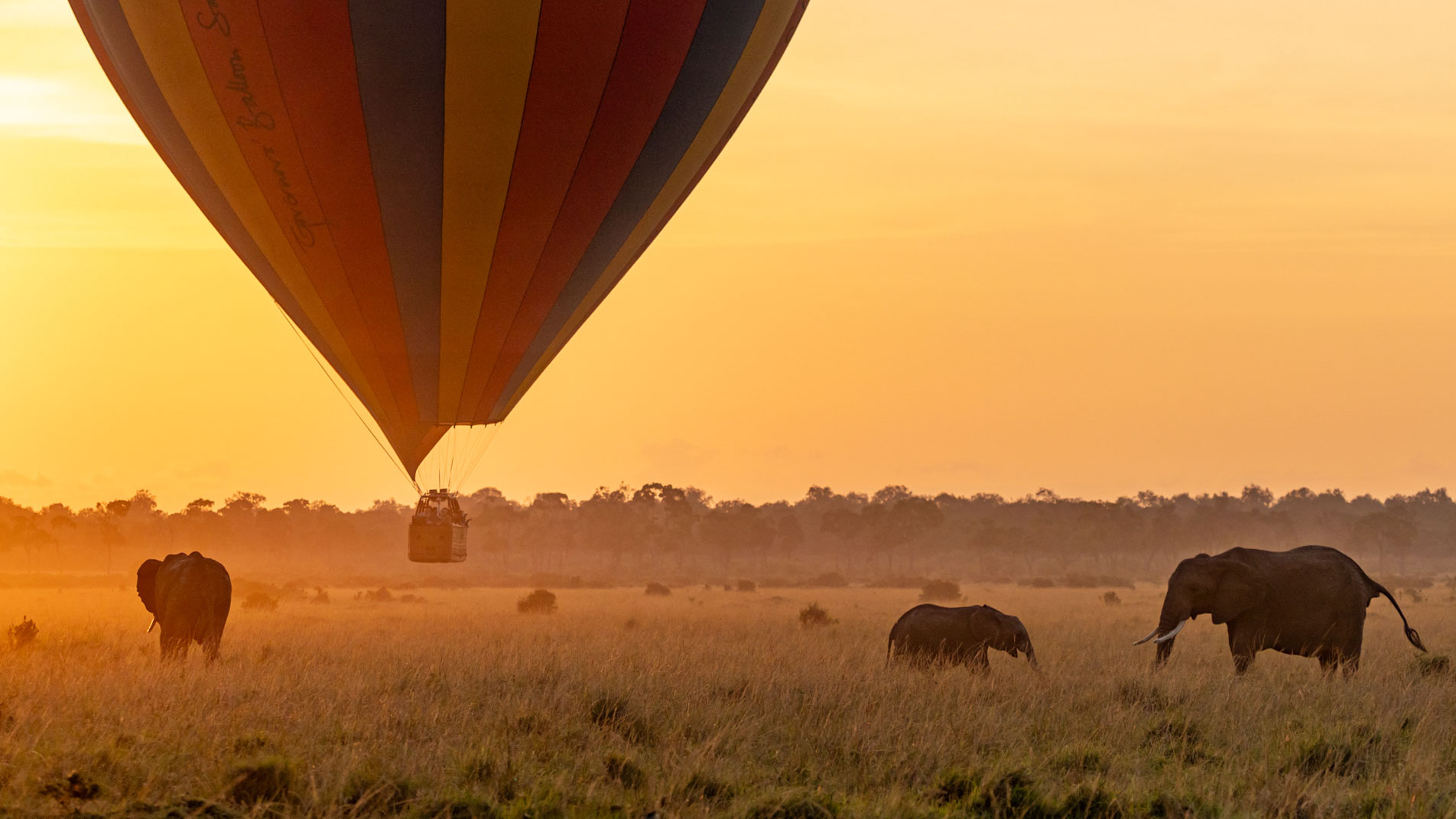 Above: A peaceful moment in the Mara