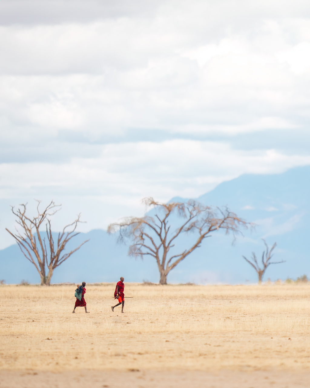 There are all kinds of new neighbours, like these Maasai