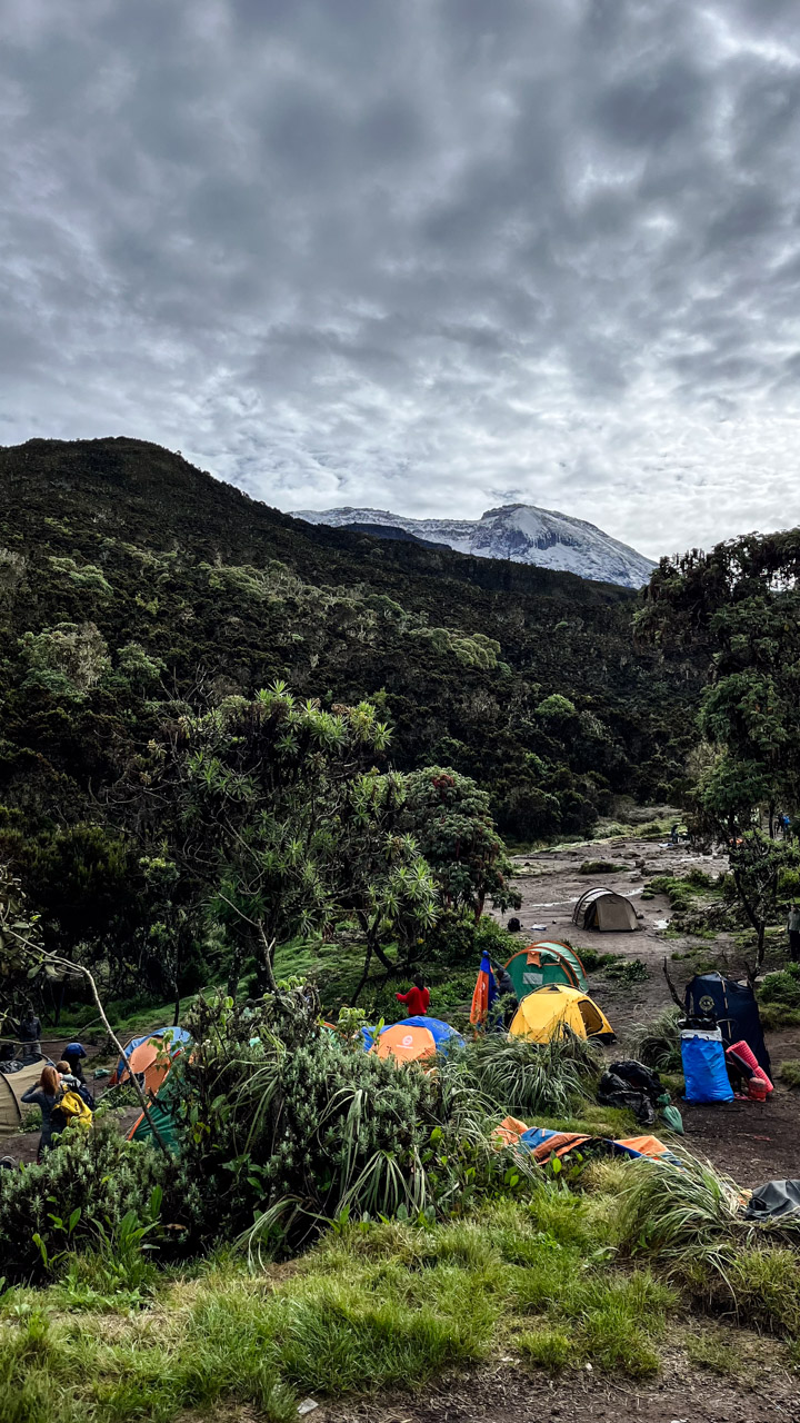 The first glimpse of the summit at Machame Camp — campsite no. 1