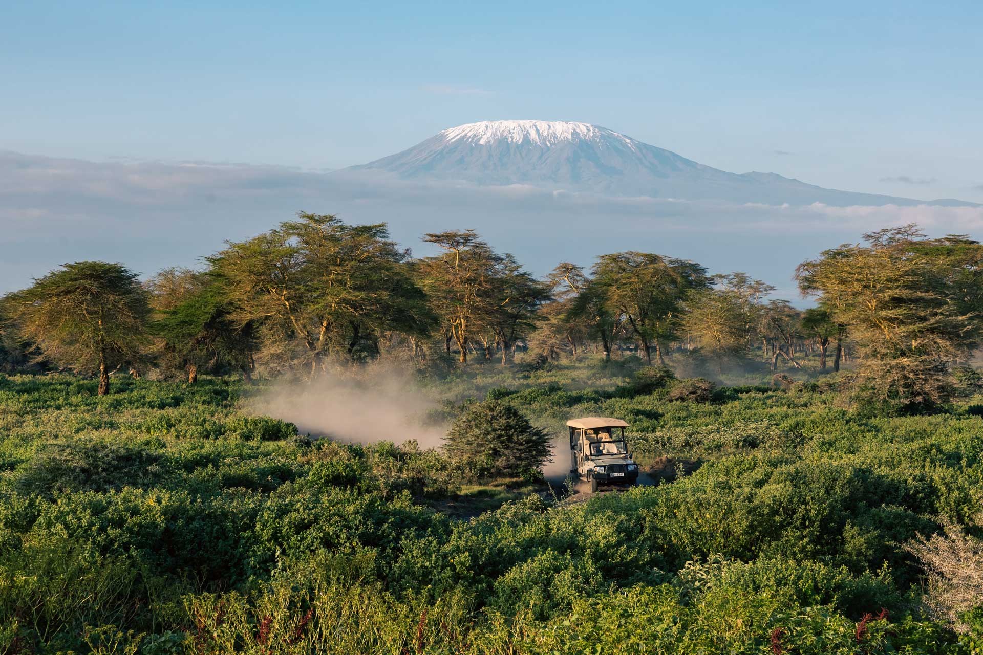 Game Drive on Safari in Amboseli Angama Luxury Safari Lodge with Mount Kilimanjaro