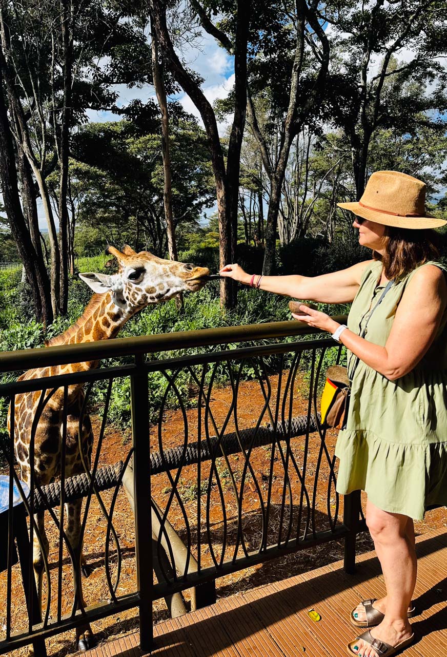 The raised platform allows your to get face-to-face with the giraffes