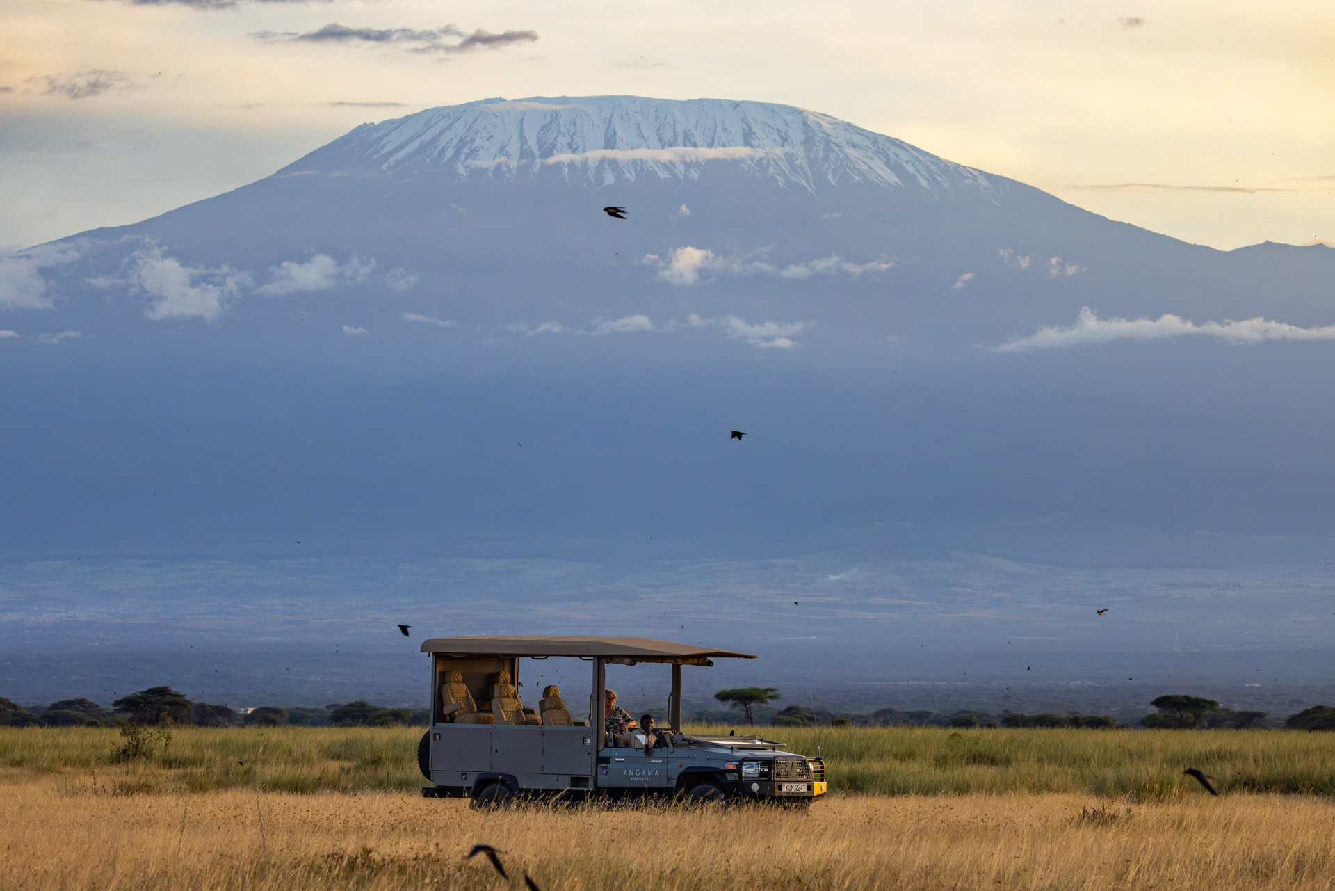The Amboseli grey blending in beautifully with the mountain 