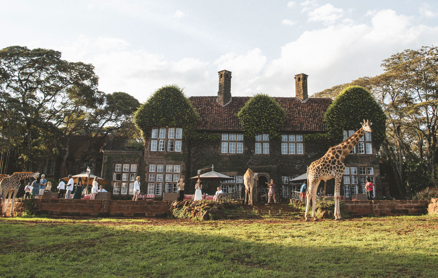 Nowadays, guests at Giraffe Manor are able to feed giraffes from the hotel's patio 