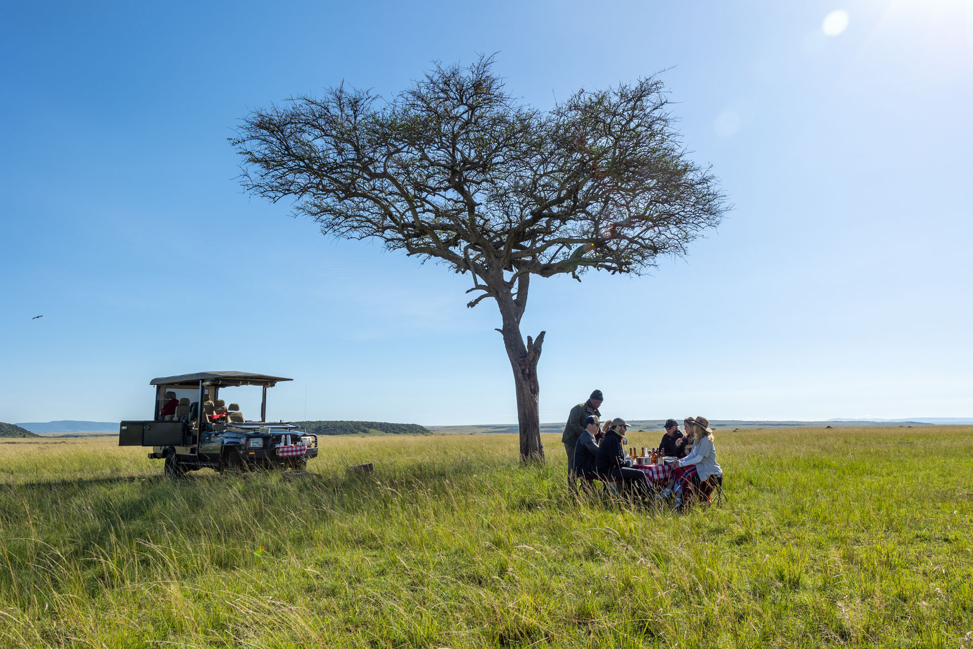Above: A picture-perfect example of a peaceful picnic in the Mara