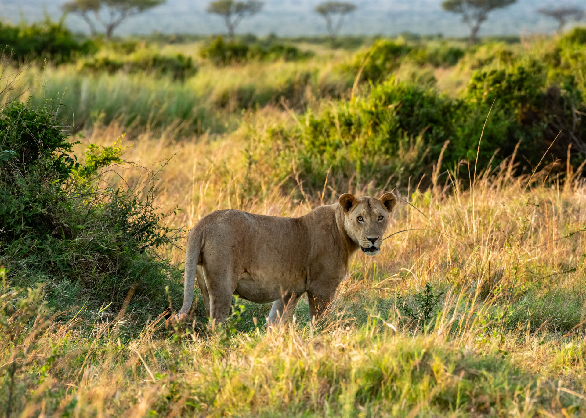 F 8, 1/500, ISO 1400 | Jeremy Macharia