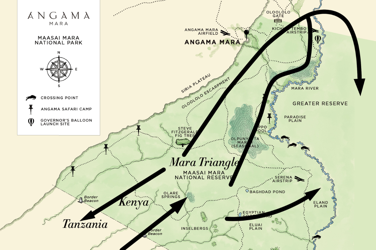 Current movements of the Migration herds