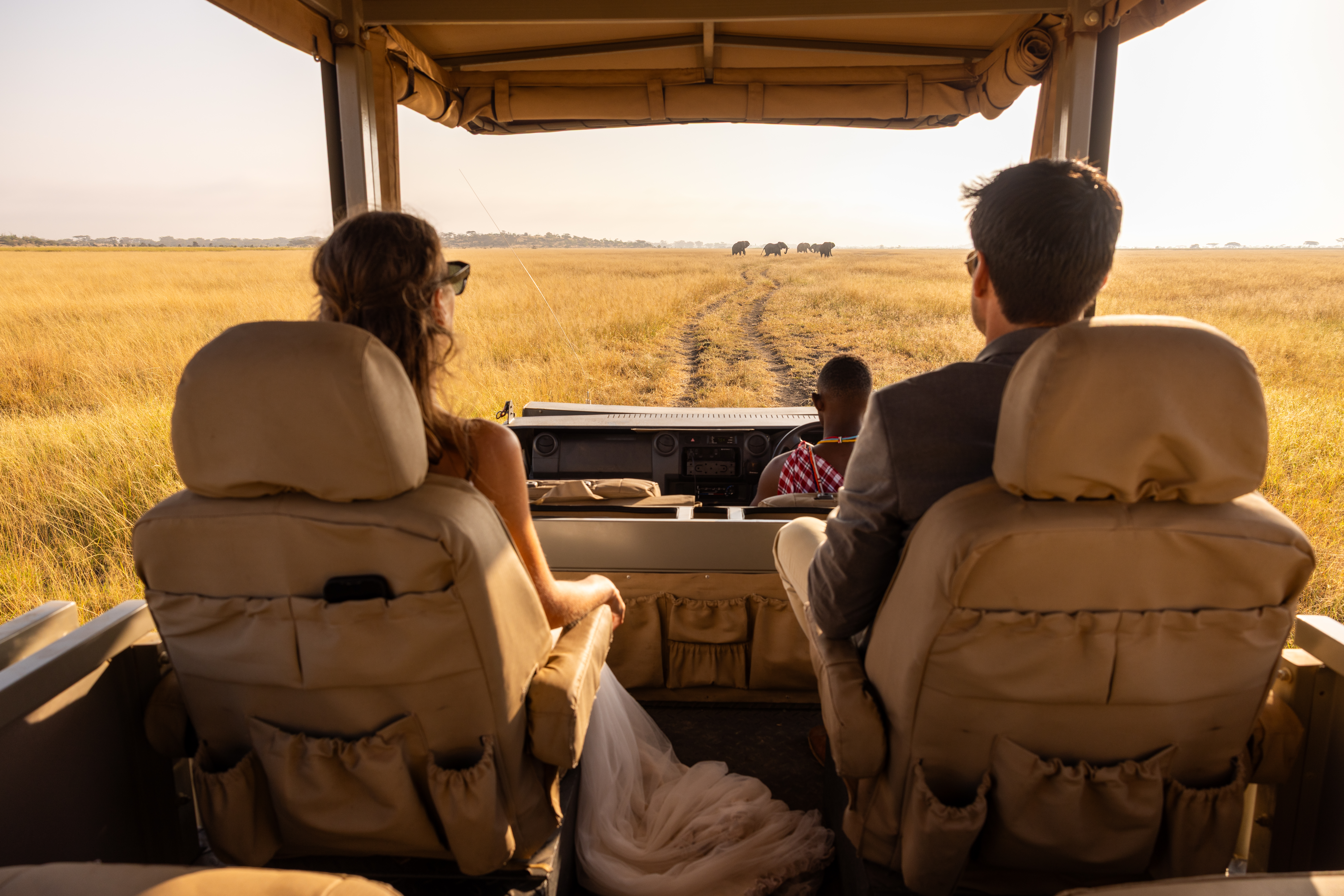 Afternoon safari perks: the couple hops out, the elephants keep guests entertained