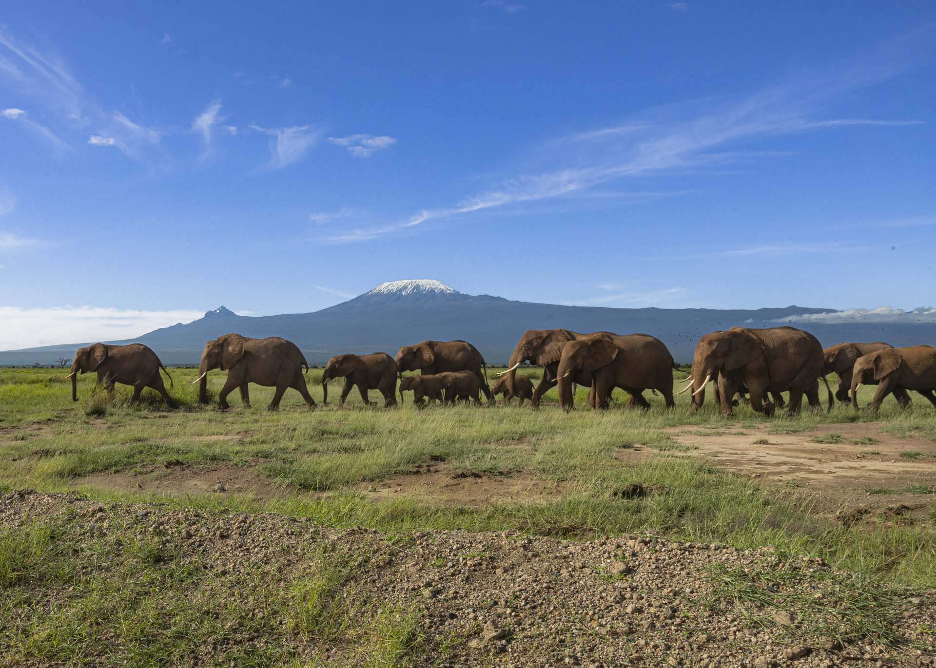 F22, 1/250, ISO320 | Arnold Omondi 