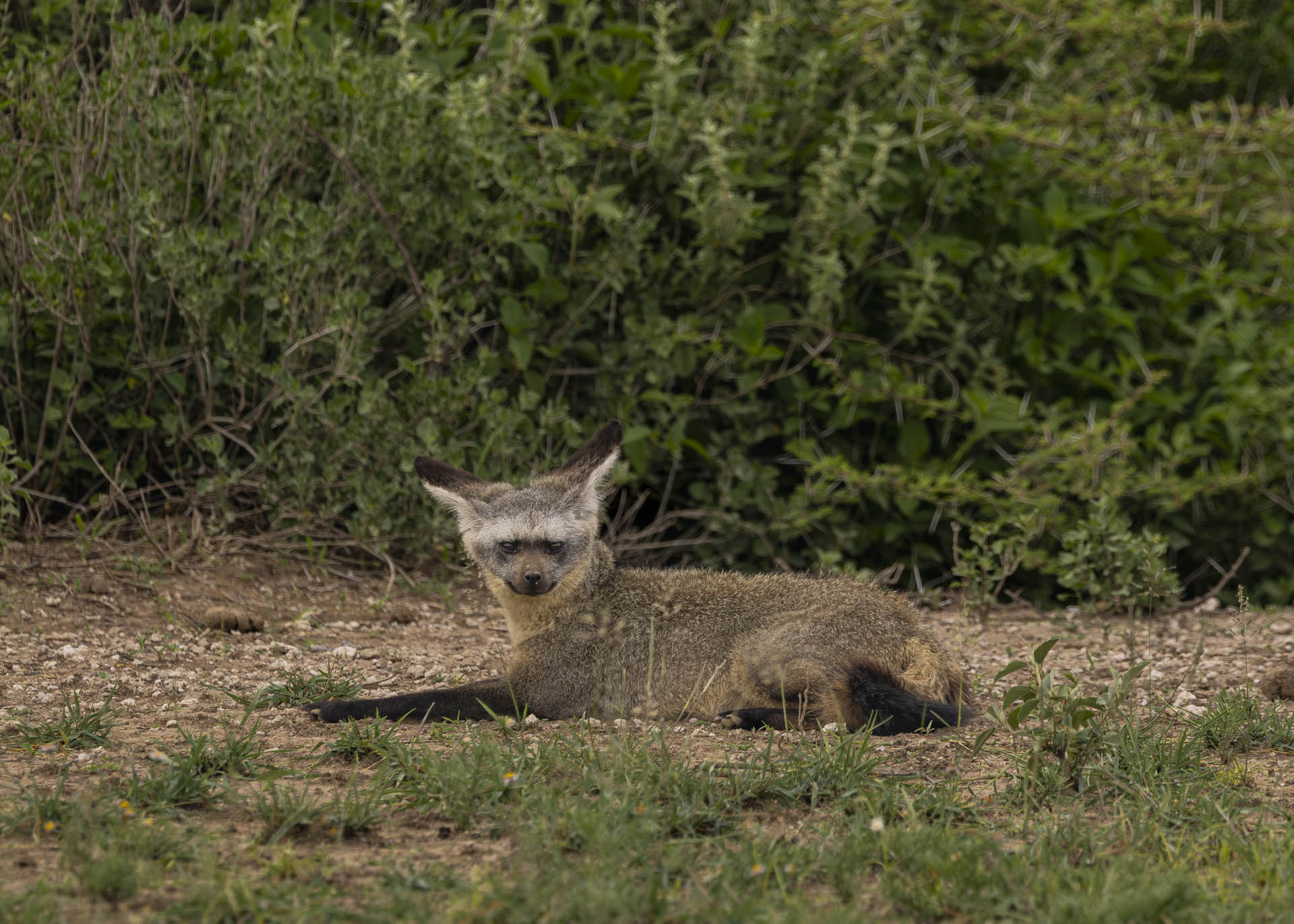 F7.1, 1/1000, ISO250 | Arnold Omondi 