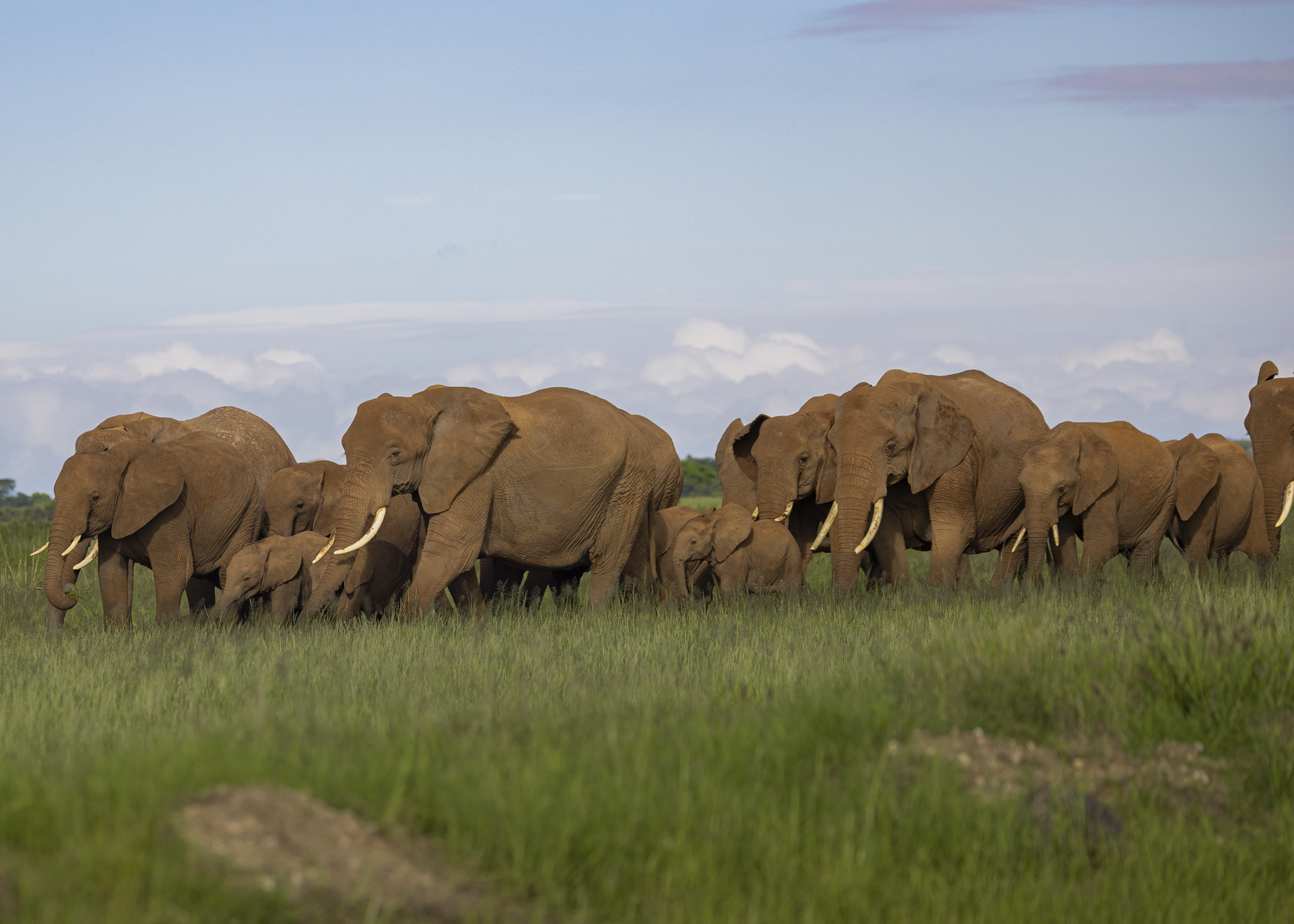 F5.0, 1/1000, ISO160 | Arnold Omondi 