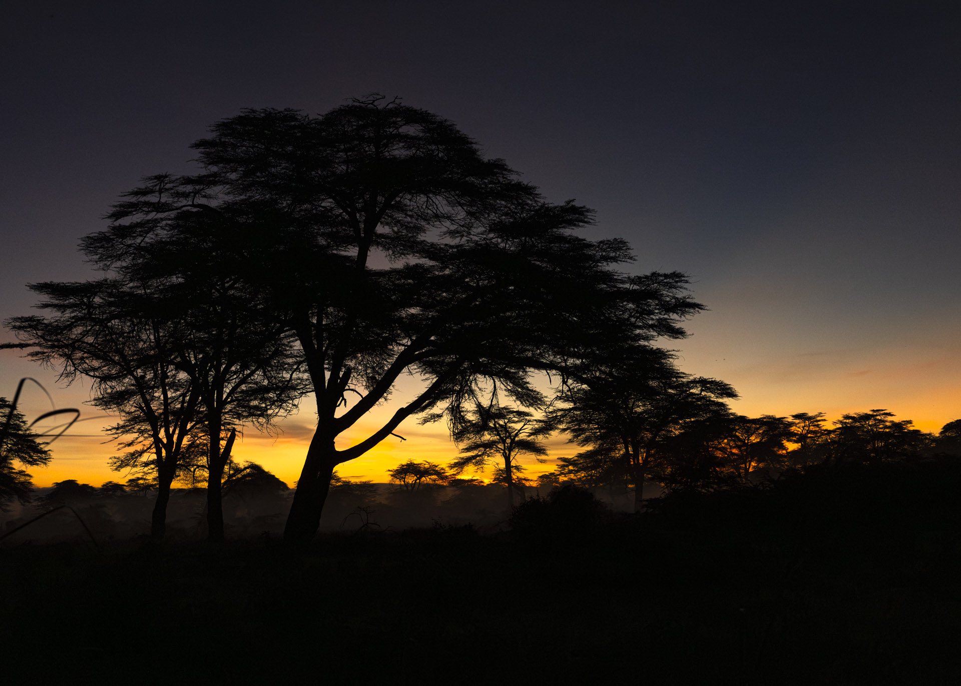 F10, 1/400, ISO2000 | Arnold Omondi 