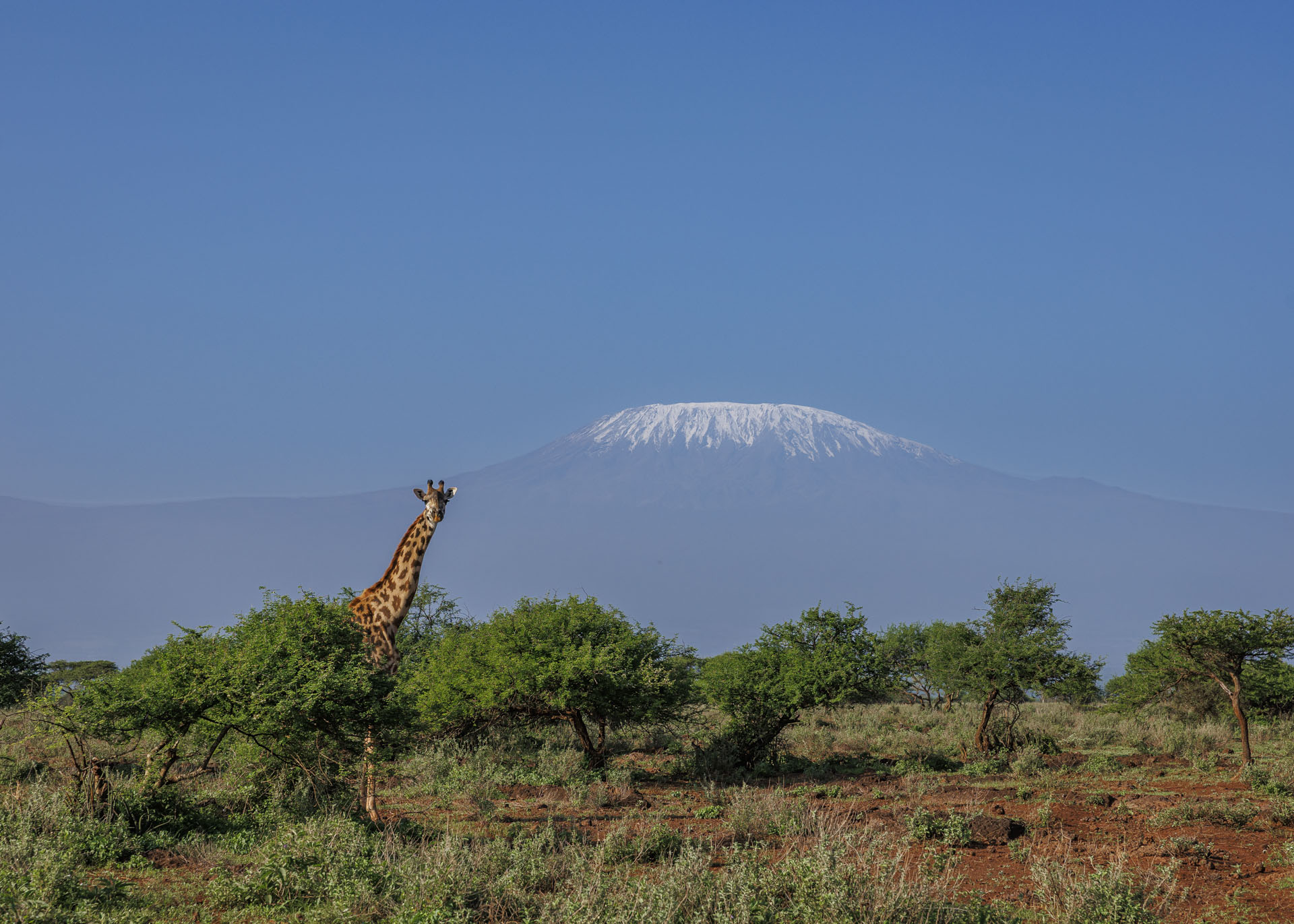 F7.1, 1/1250, ISO250 | Marvin Mwarangu 