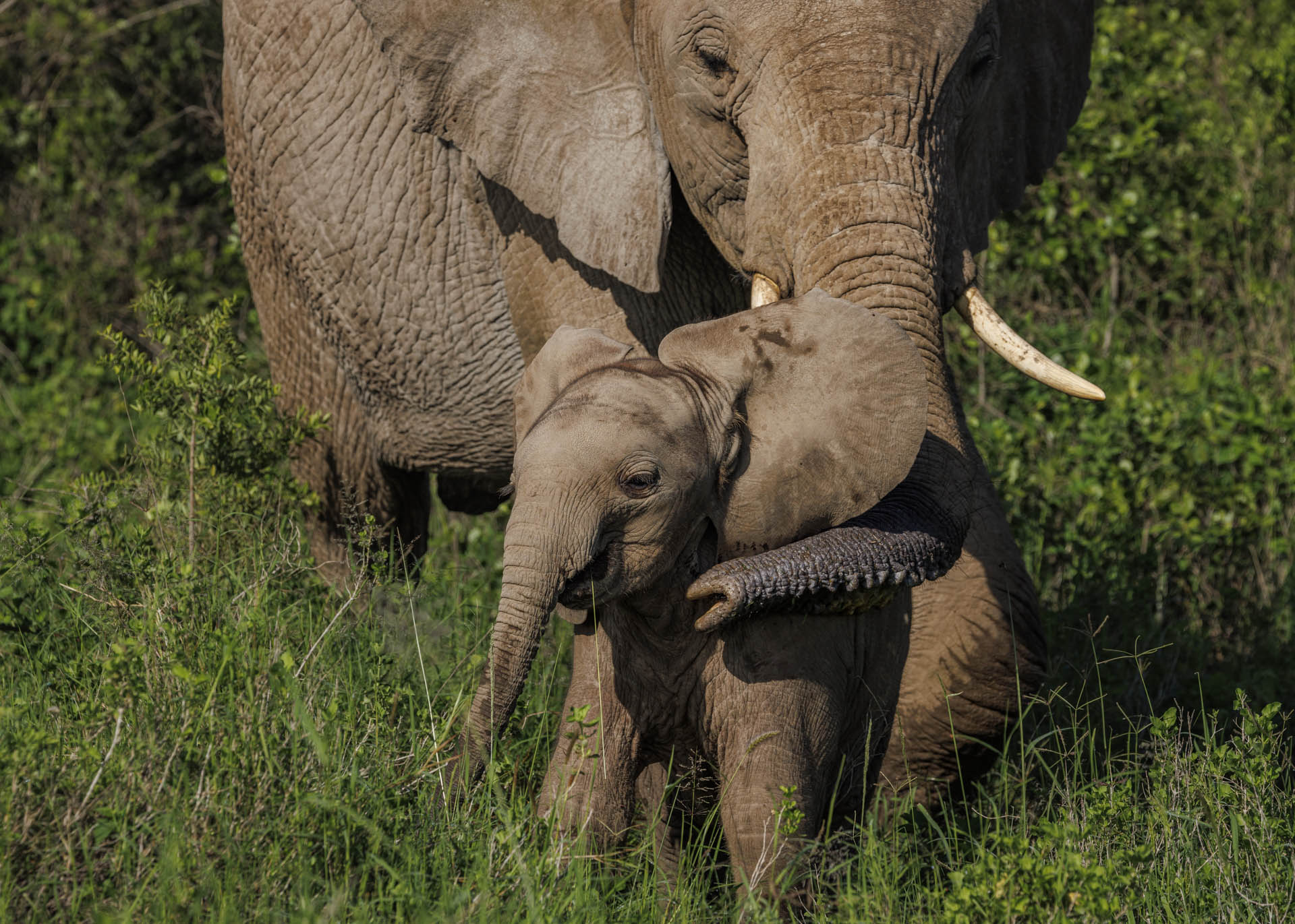 F8.0, 1/2000, ISO500 | Marvin Mwarangu 