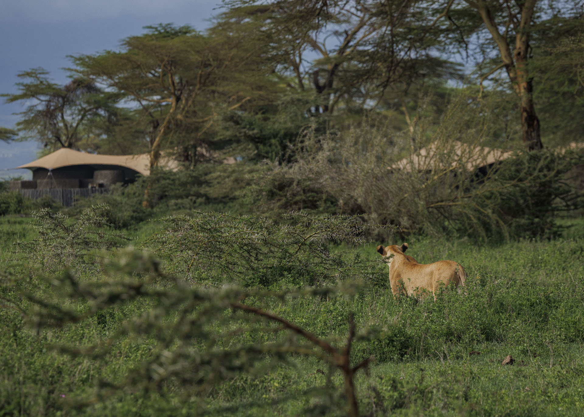F8.0, 1/2500, ISO500 | Marvin Mwarangu 