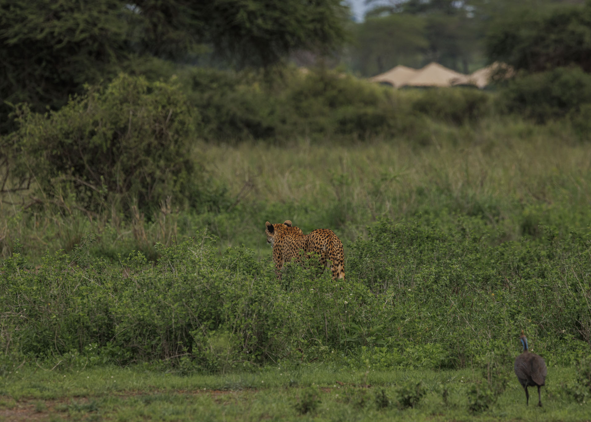 F10.0, 1/1600, ISO500 | Marvin Mwarangu 