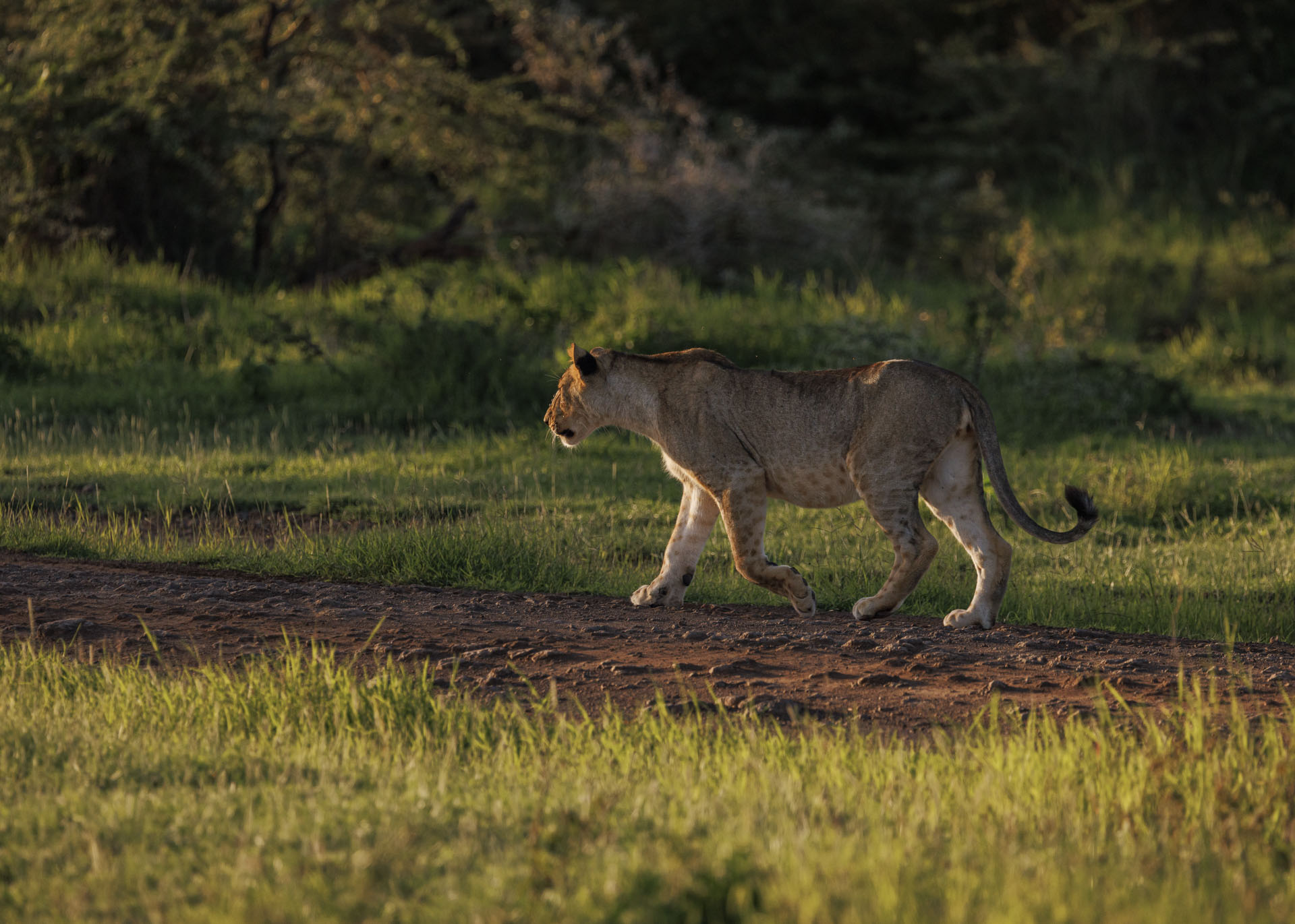F6.3, 1/2000, ISO640 | Marvin Mwarangu 
