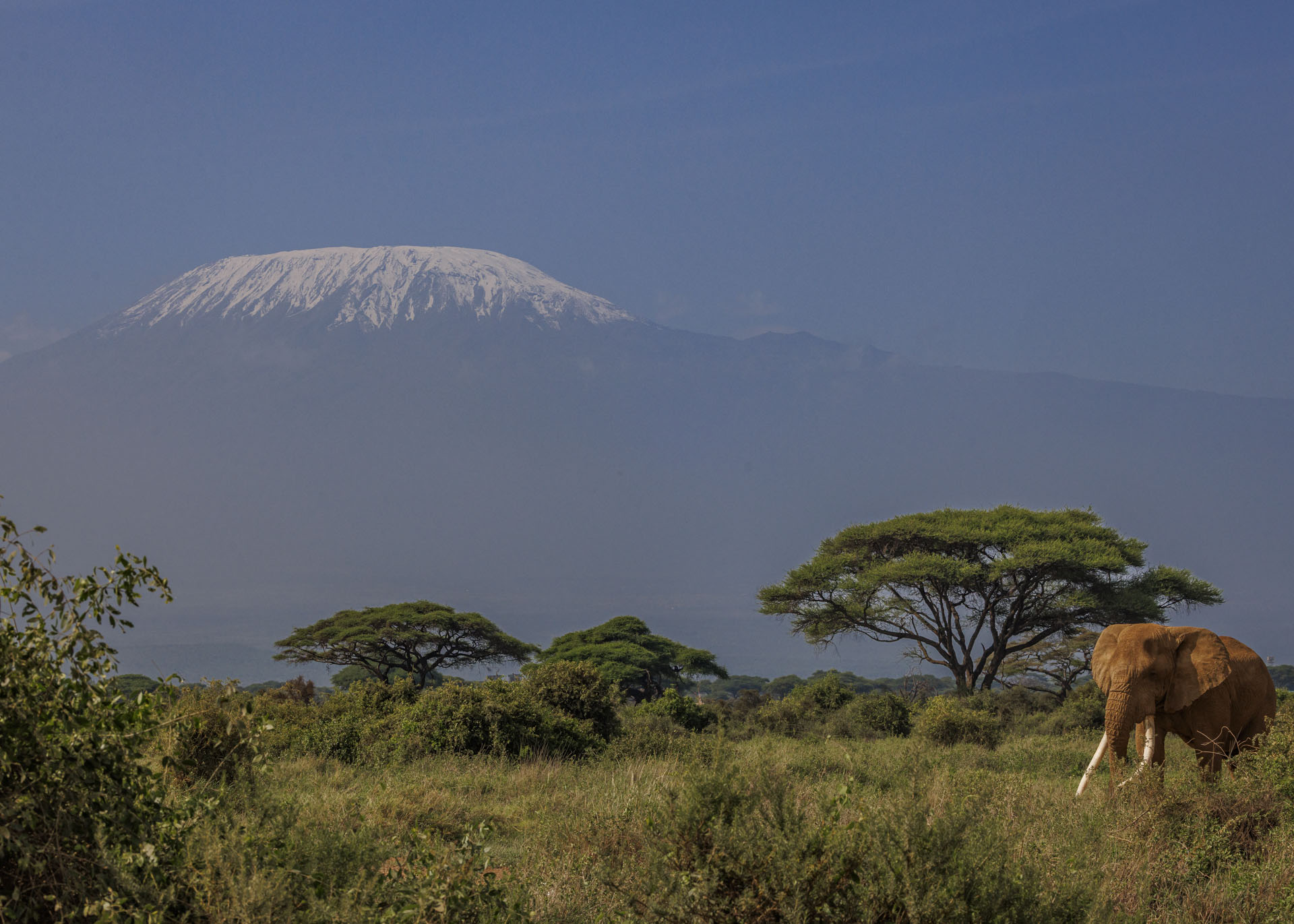 F13.0, 1/1600, ISO400 | Marvin Mwarangu 