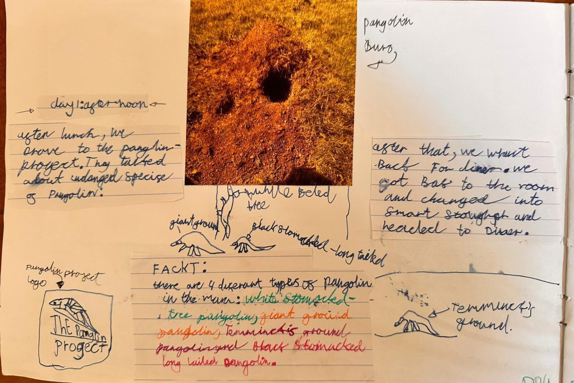 After visiting the Pangolin Project near Angama Mara, Arlo noted what he’d learned
