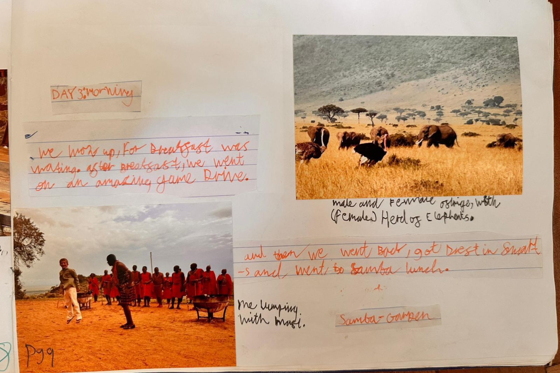 For a child, safari becomes a collection of moments — the kind of experience carried long after the journey ends