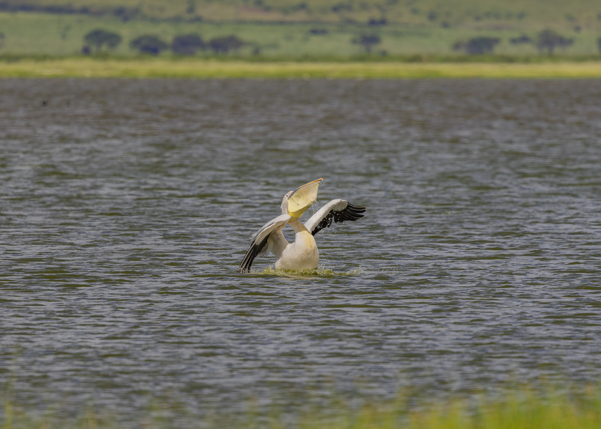 F7.1, 1/1000, ISO200 | Arnold Omondi 