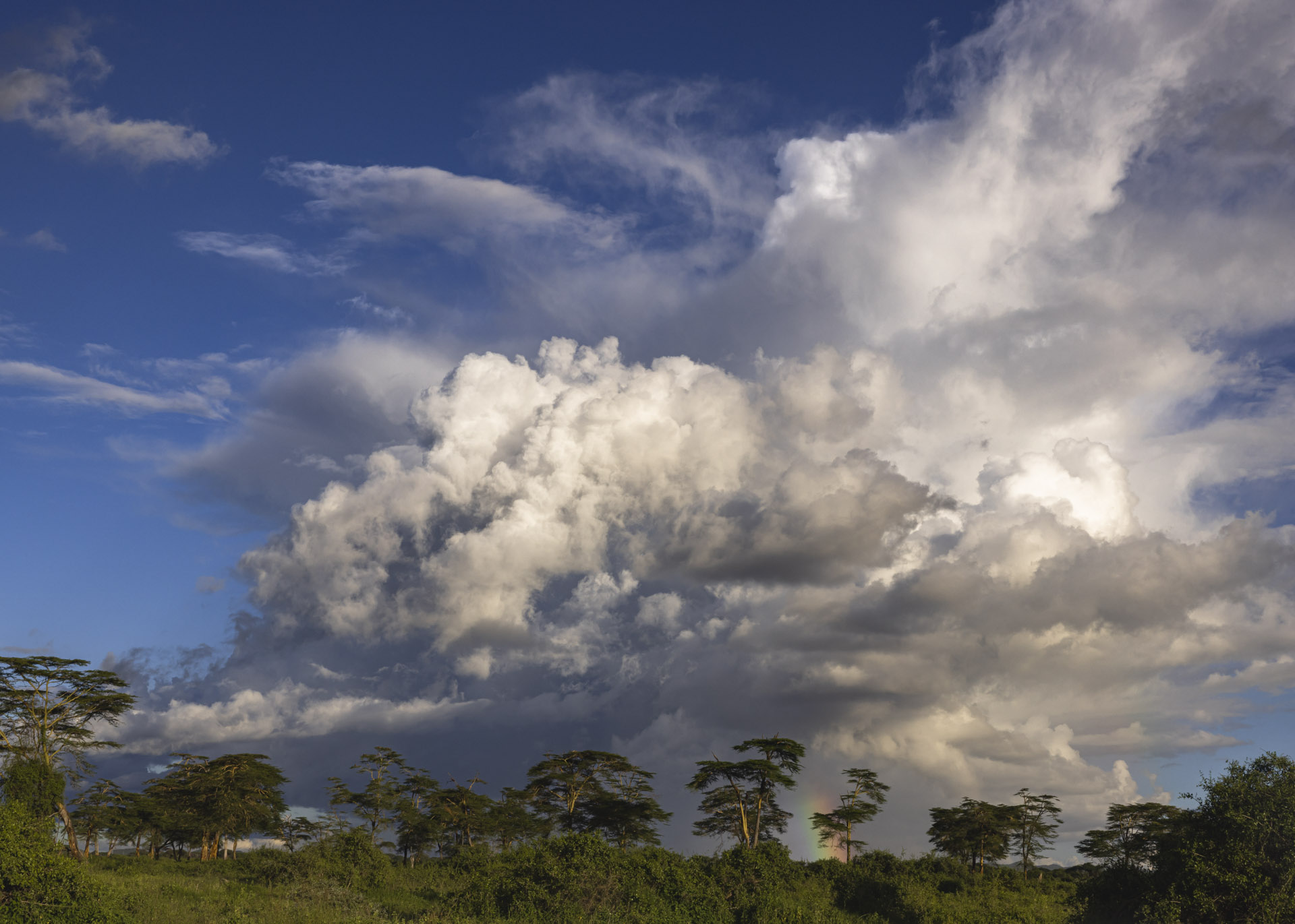 F22, 1/200, ISO250 | Arnold Omondi 