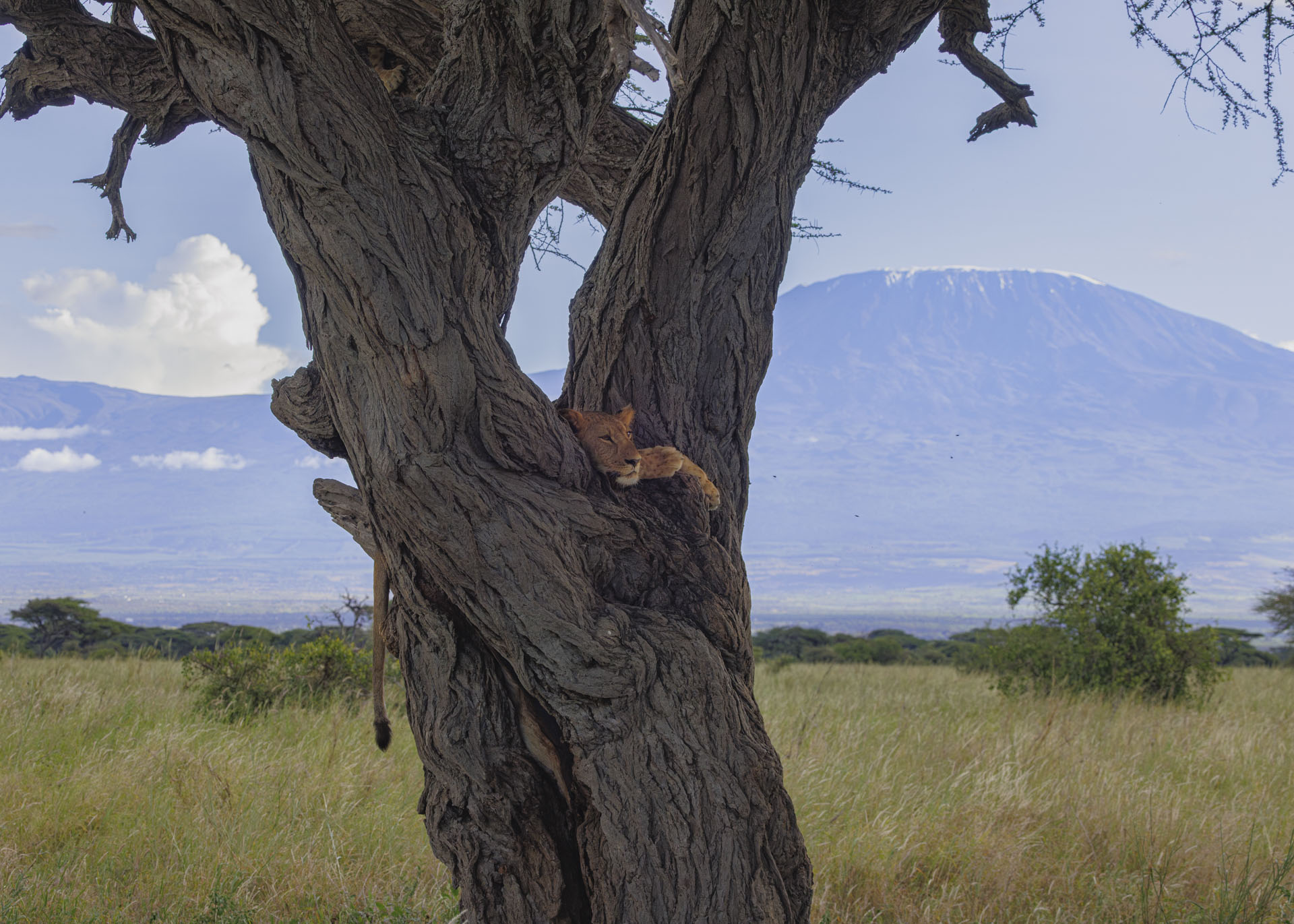 F10, 1/500, ISO1000 | Arnold Omondi