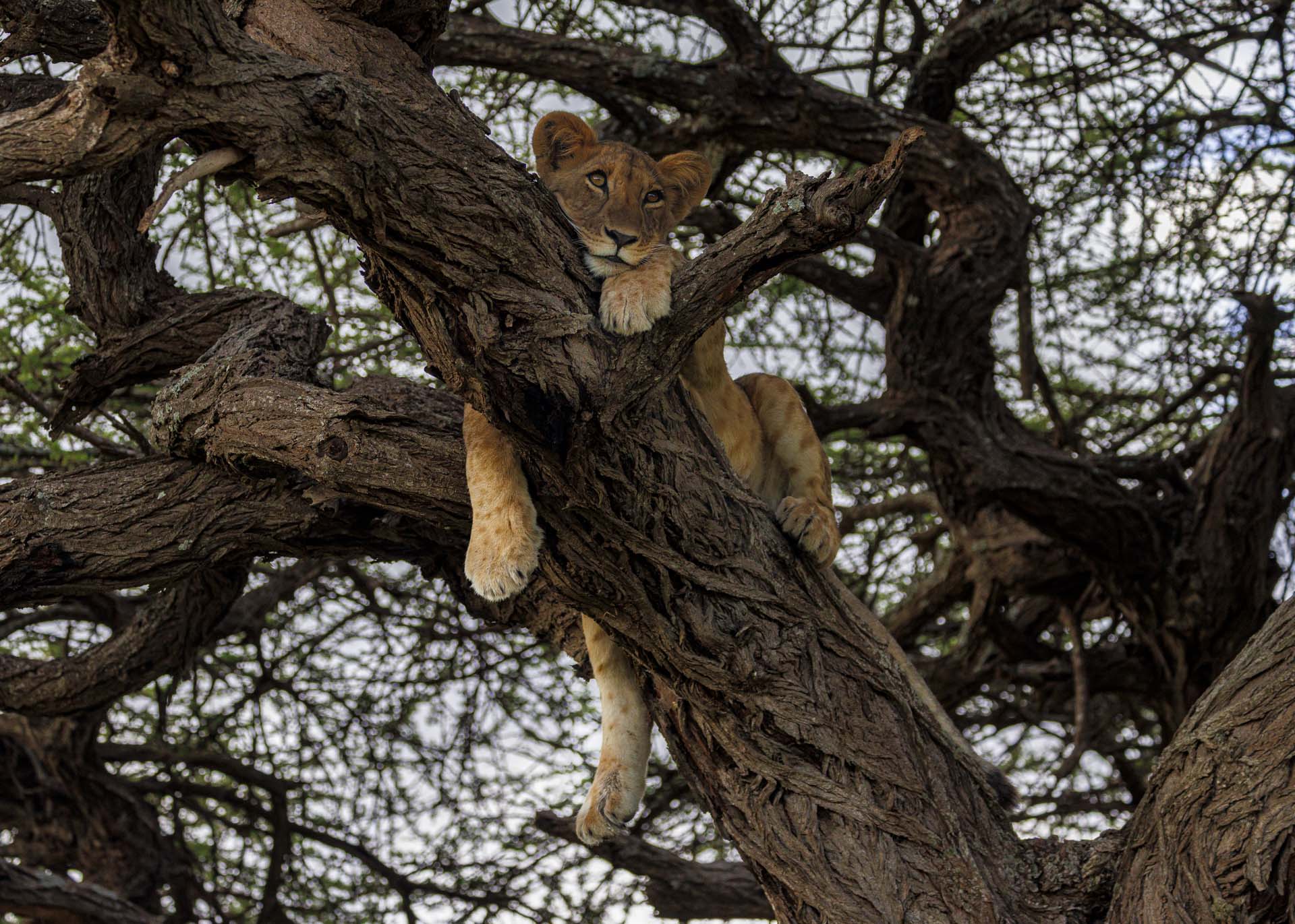F4.5, 1/500, ISO1000 | Arnold Omondi