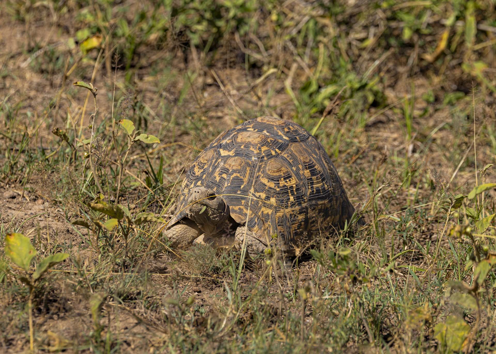 F7.1, 1/1000, ISO200 | Arnold Omondi 