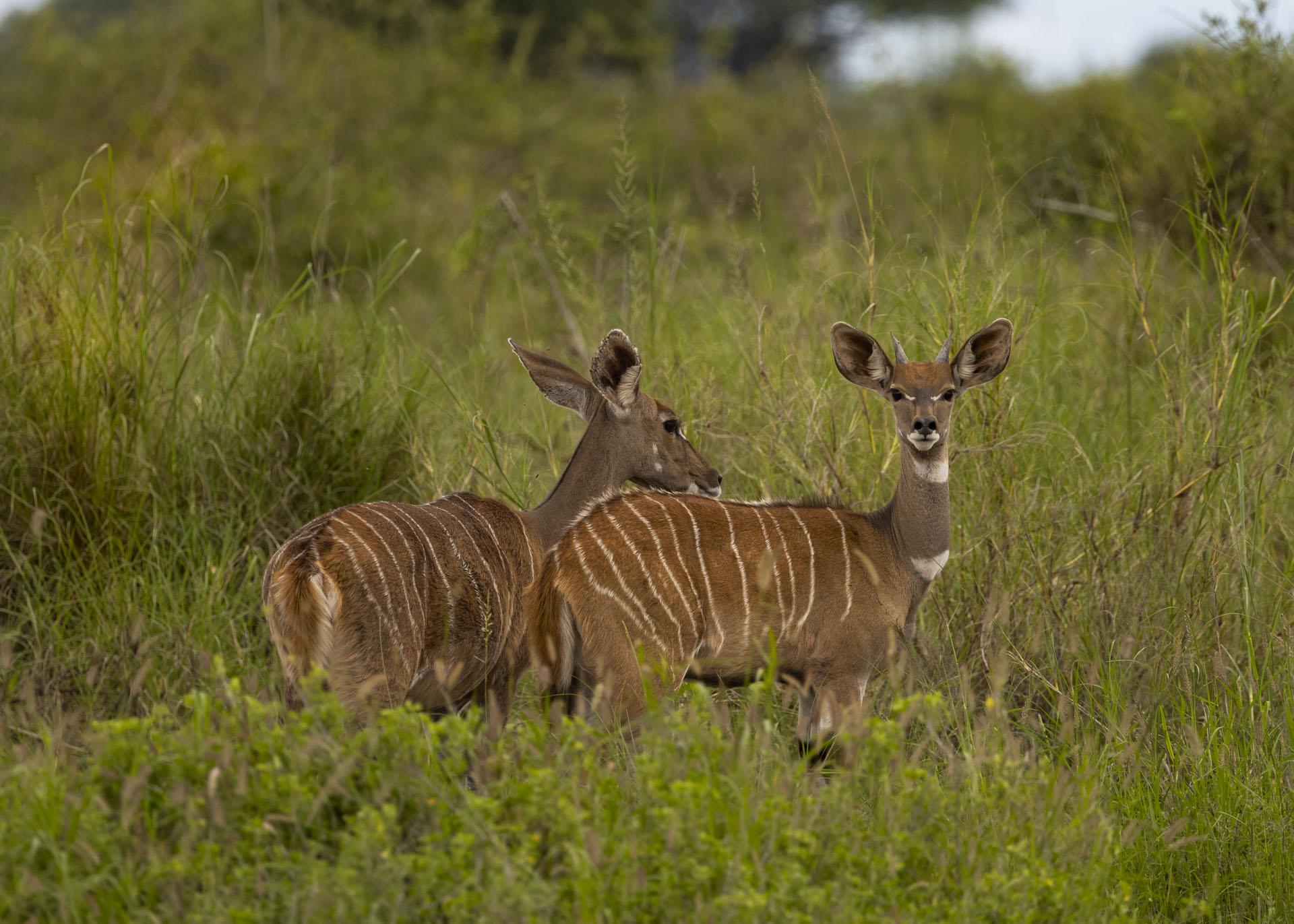 F7.1, 1/1000, ISO400 | Arnold Omondi 