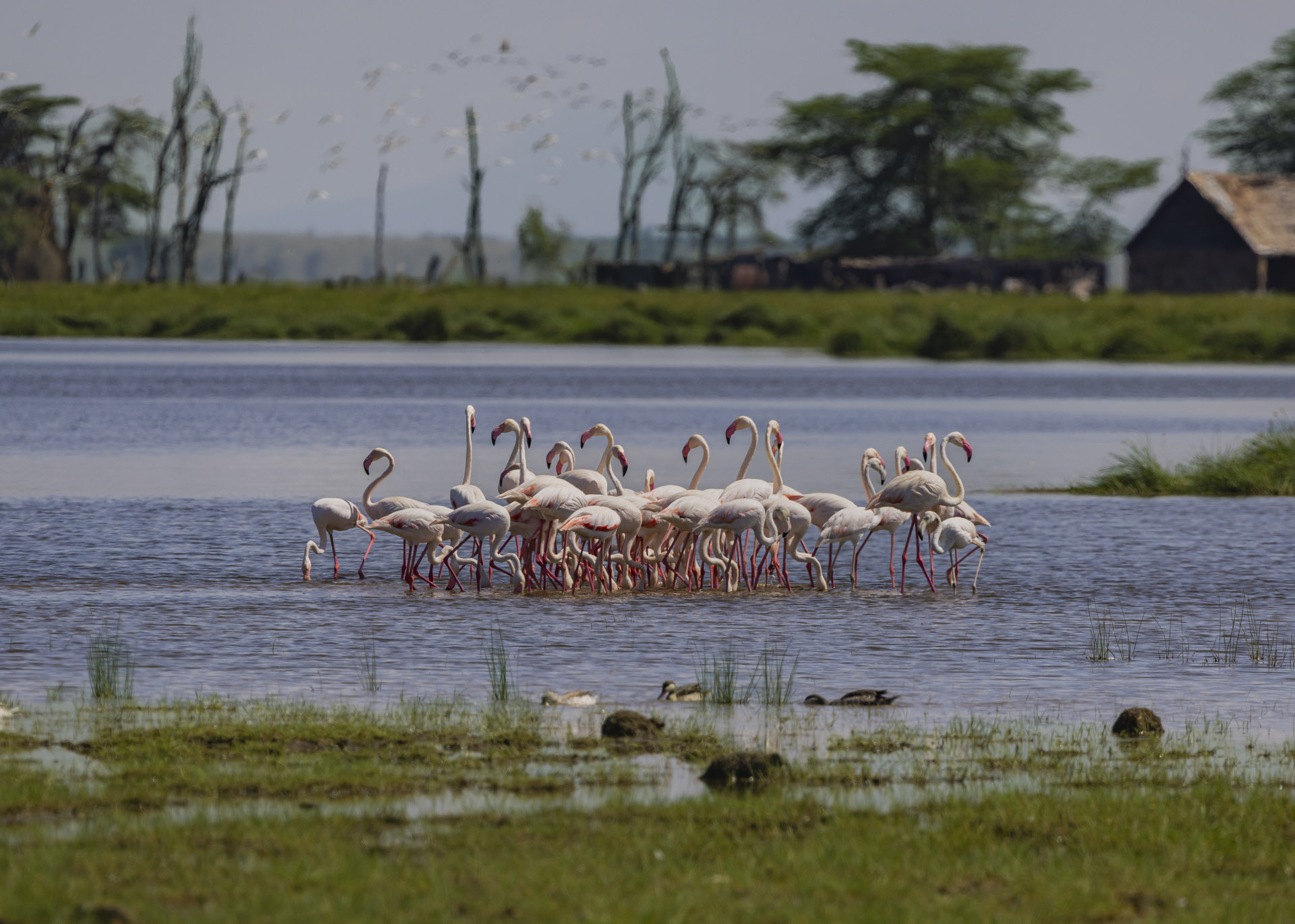 F9.0, 1/1000, ISO200 | Arnold Omondi 