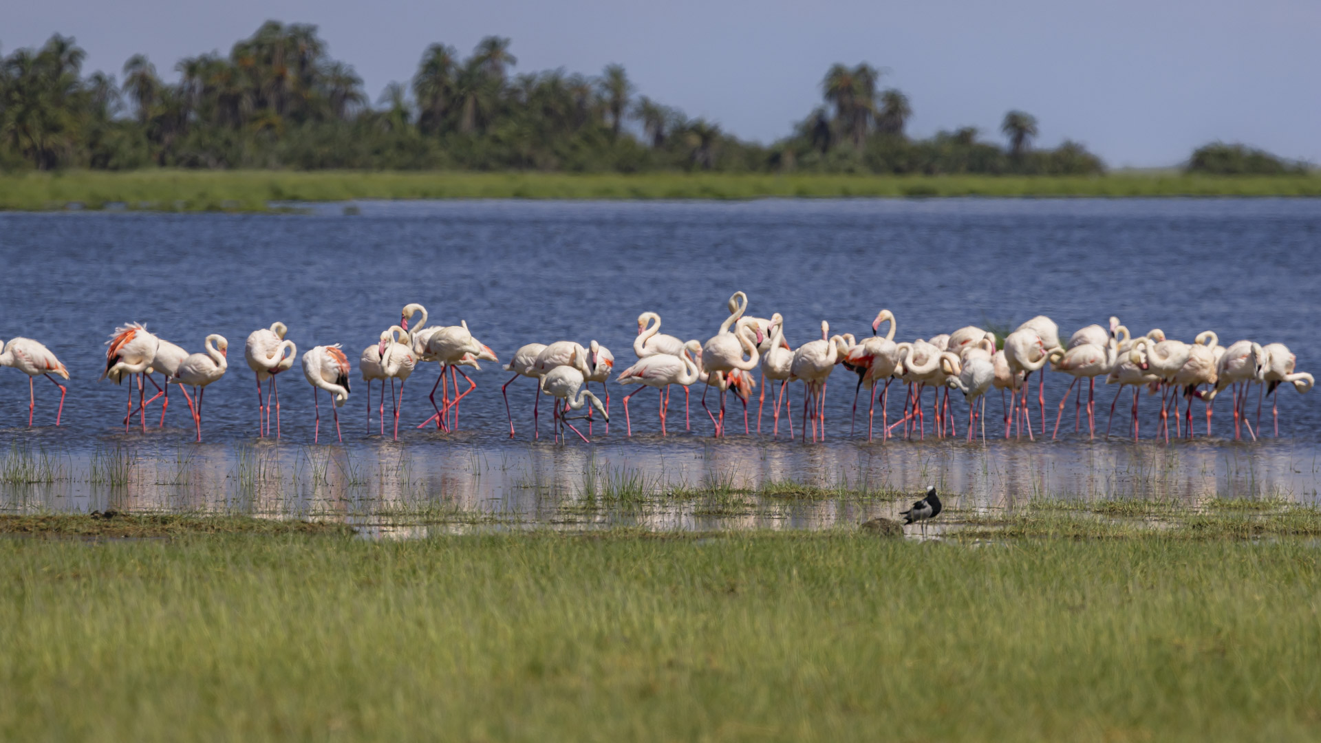 F9.0, 1/1000, ISO200 | Arnold Omondi 