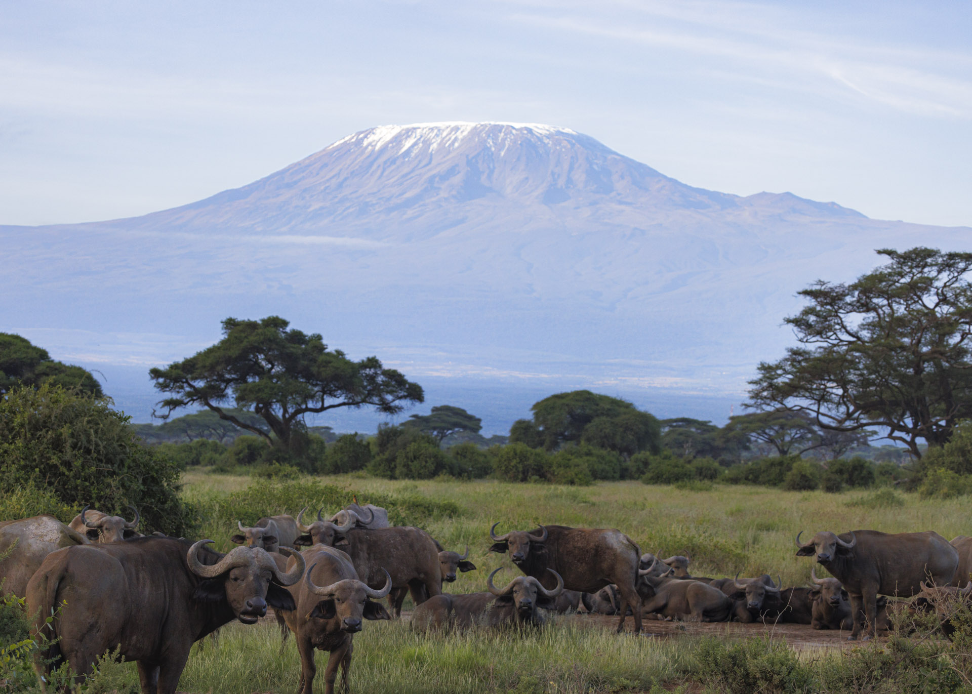 F8.0, 1/800, ISO1000 | Arnold Omondi 