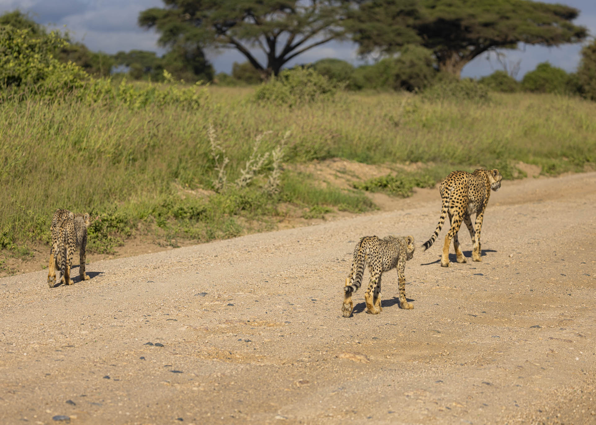 F5.0, 1/1000, ISO100 | Arnold Omondi 