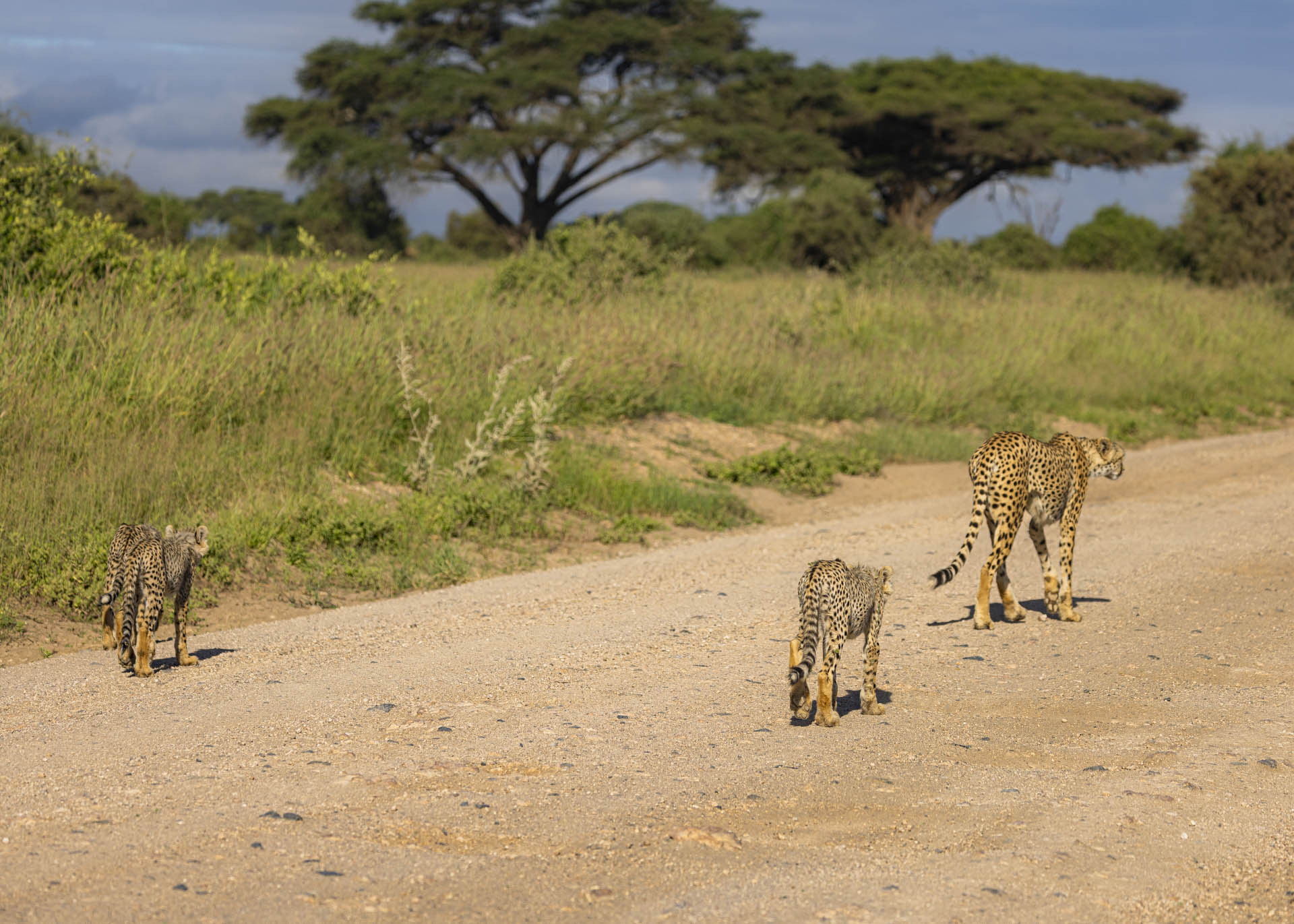 F5.0, 1/1000, ISO100 | Arnold Omondi 