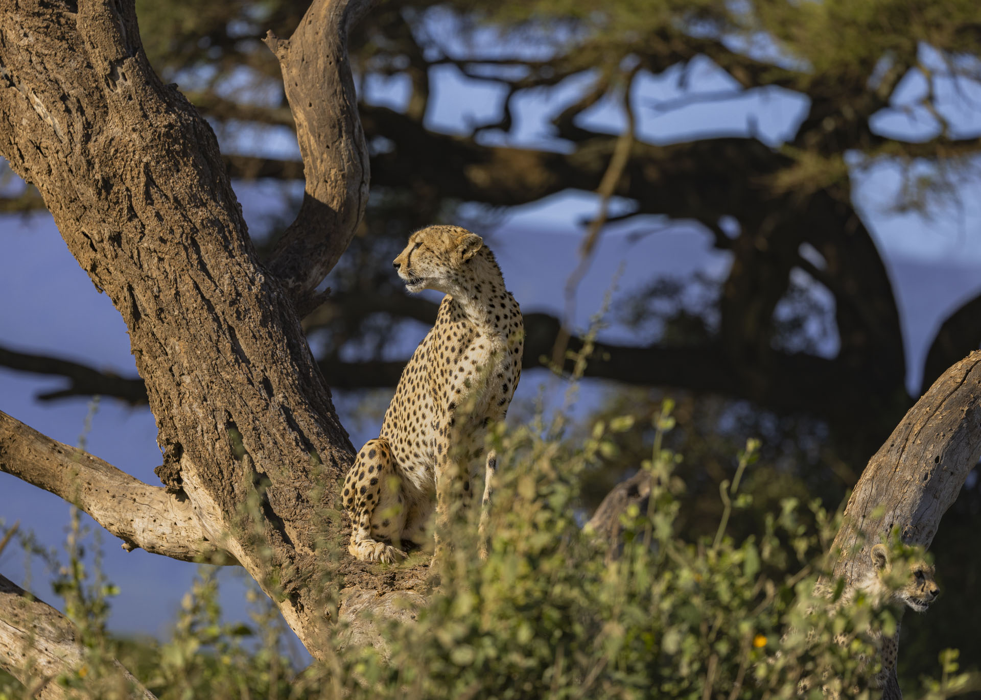 F5.6, 1/1000, ISO125 | Arnold Omondi 