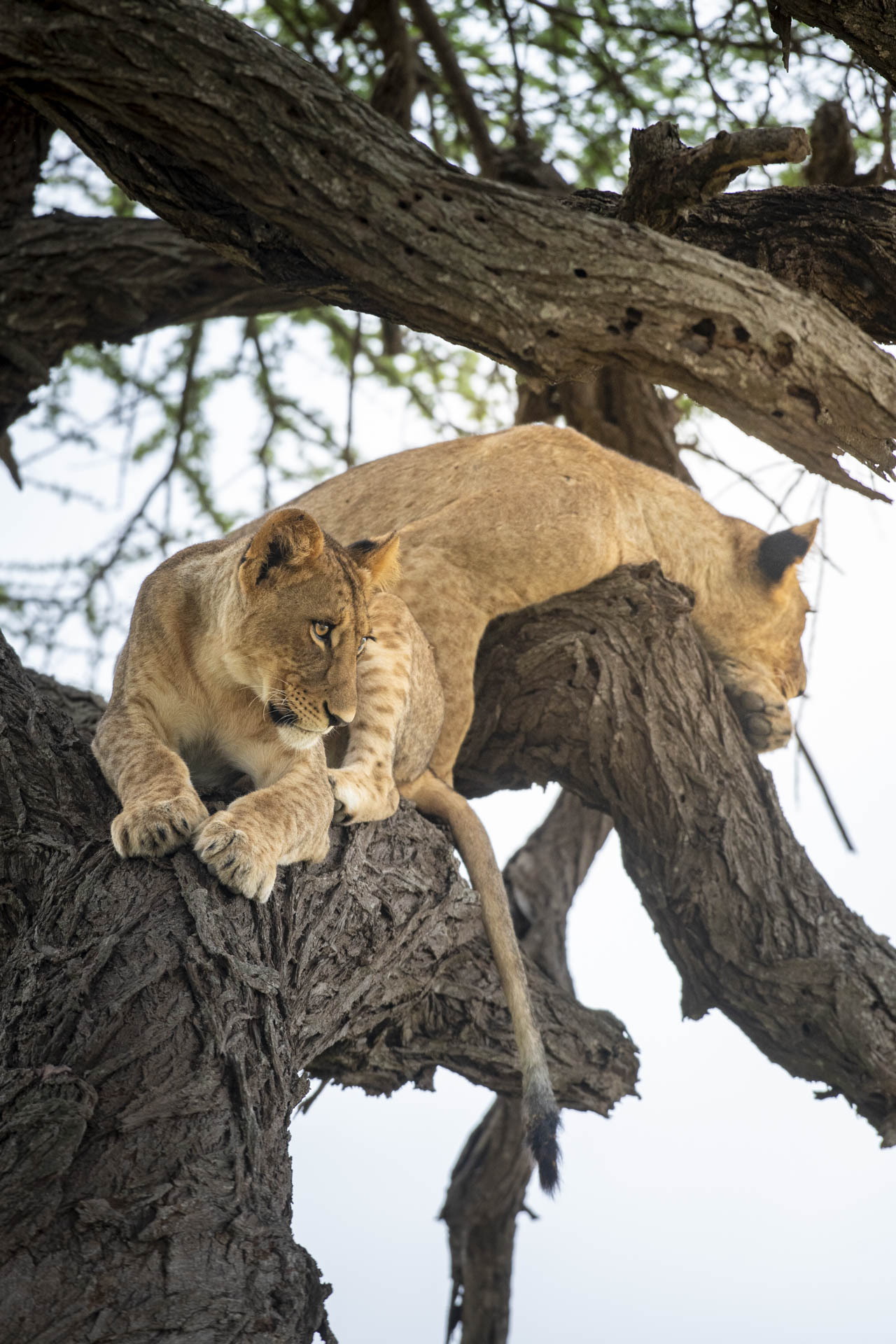 F 5.6, 1/160, ISO 640 | Jeremy Macharia 