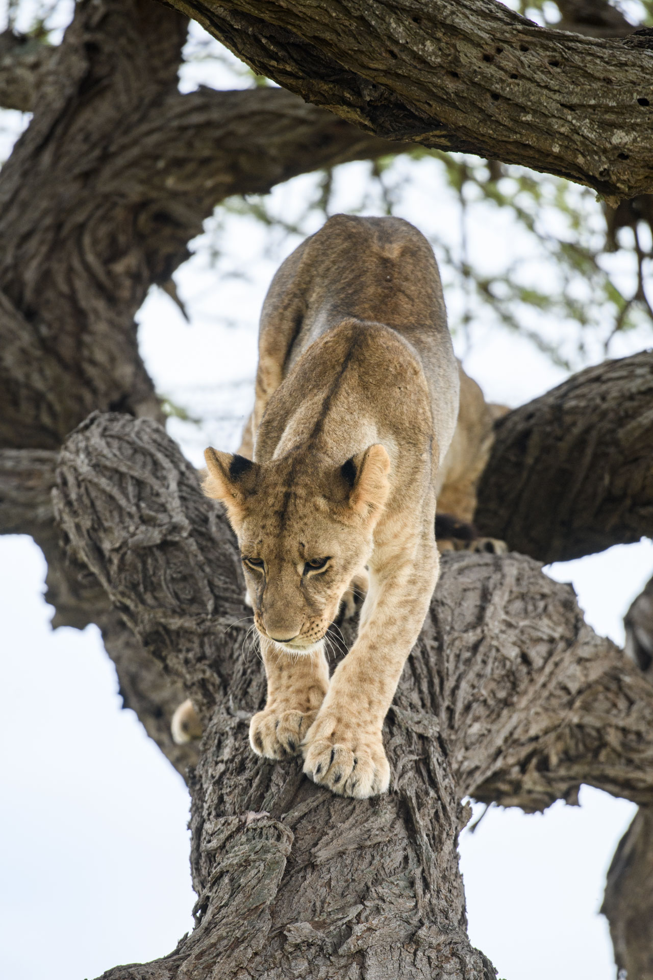 F 5.6, 1/160, ISO 640 | Jeremy Macharia 